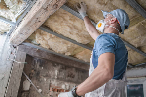 Best Fiberglass Insulation in Sullivans Island, SC